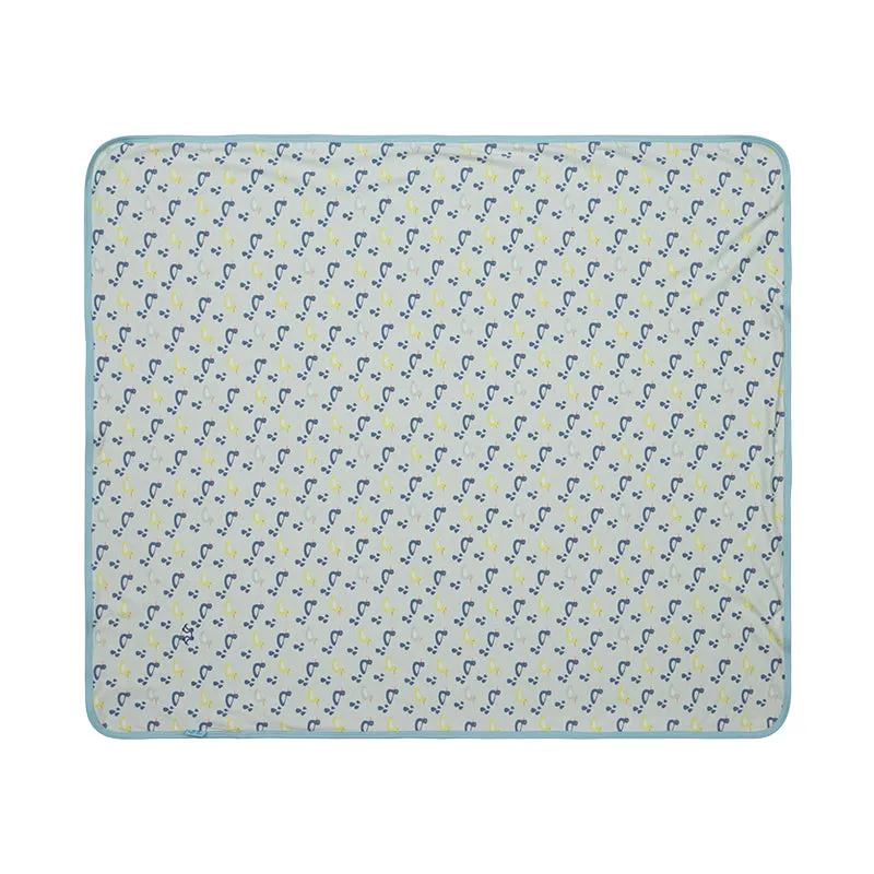 Baby blanket boys duck print