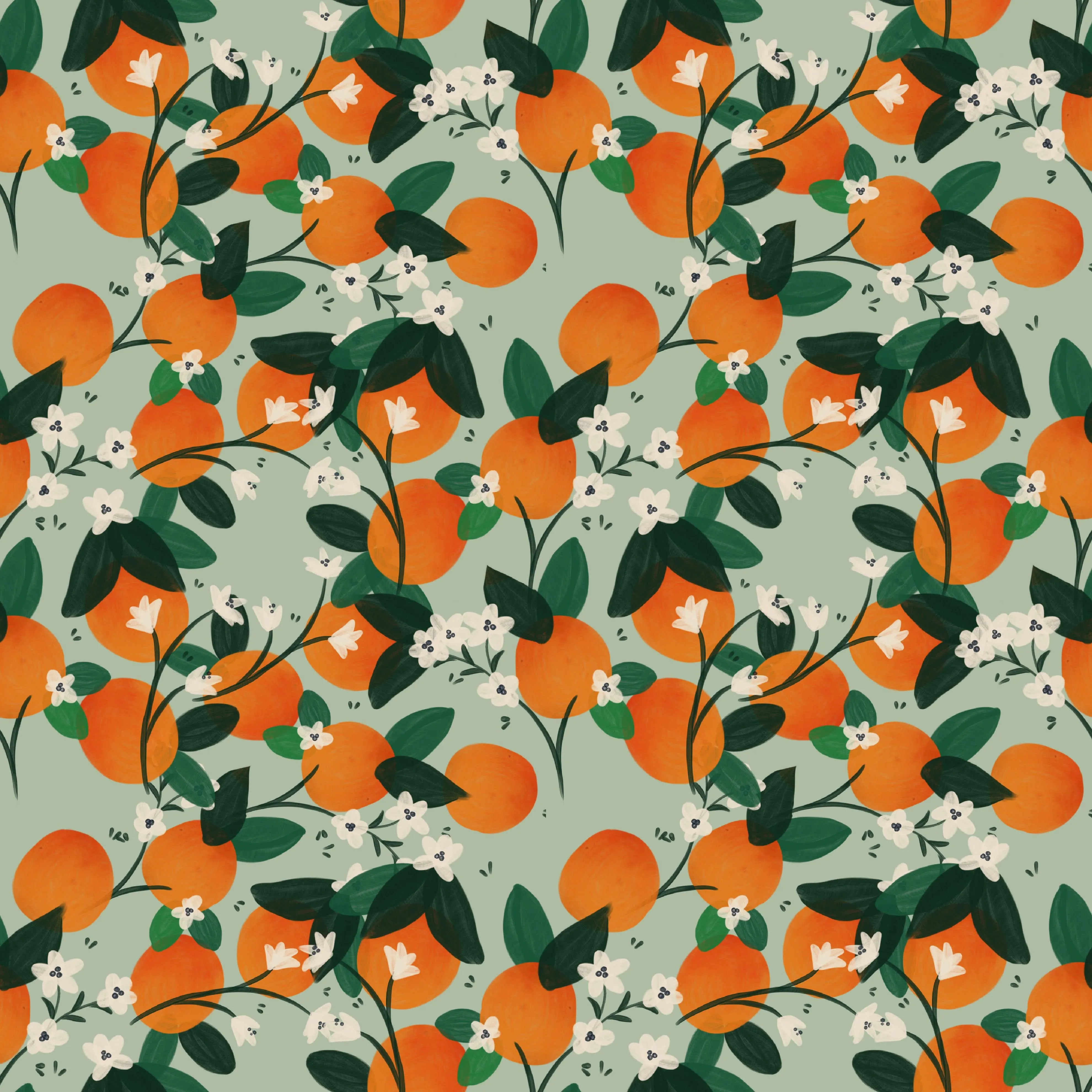 Clementines Oeko Tex Jersey