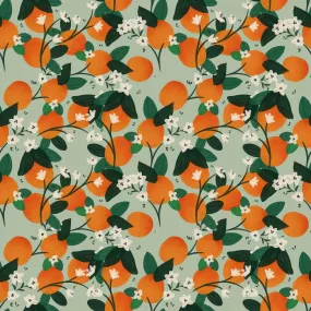 Clementines Oeko Tex Jersey