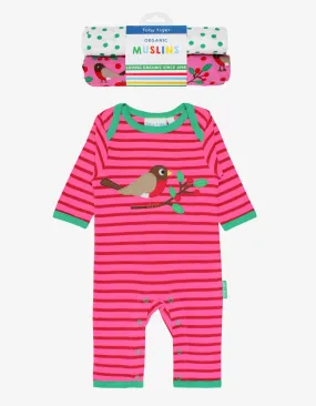 Organic Robin Baby Bundle