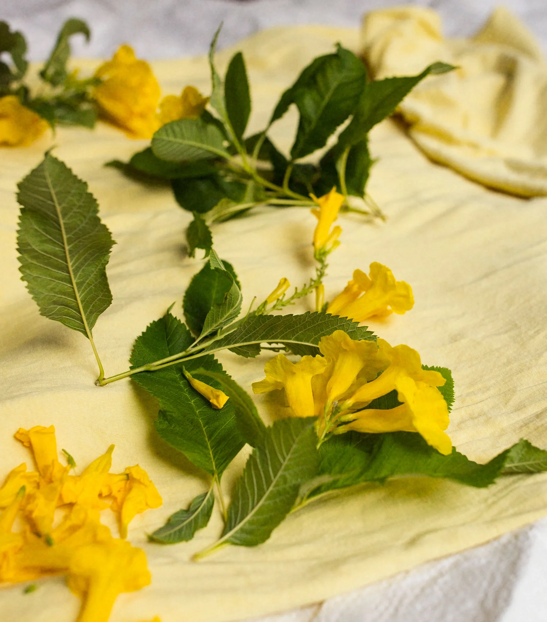 Singlet Onesie - Lemon
